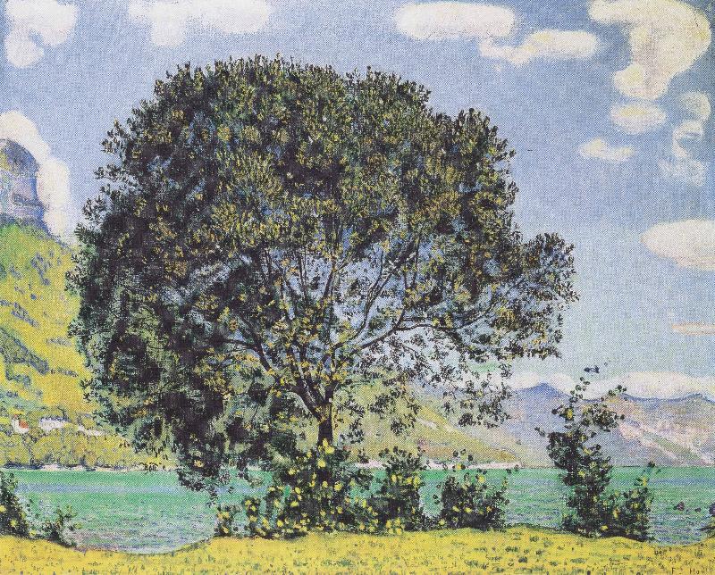 Ferdinand Hodler Baum am Brienzersee vom Bodeli aus Spain oil painting art